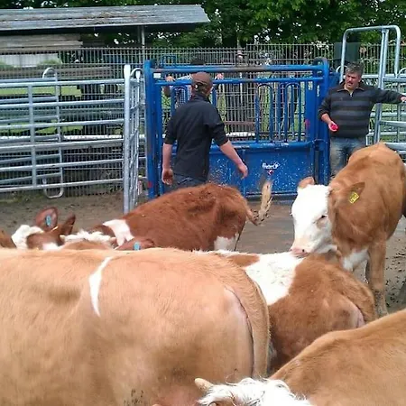 Appartement Ferien Auf Dem Eliesenhof *