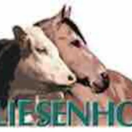 Ferien Auf Dem Eliesenhof