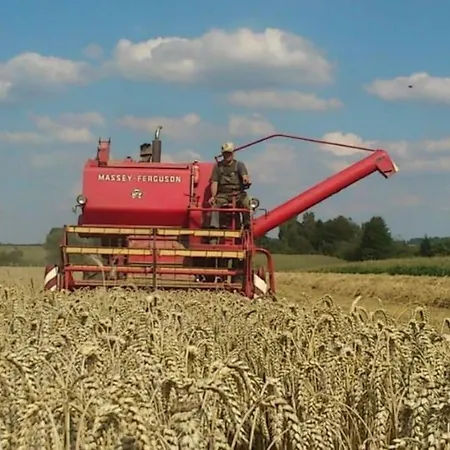 Appartement Ferien Auf Dem Eliesenhof Welzheim