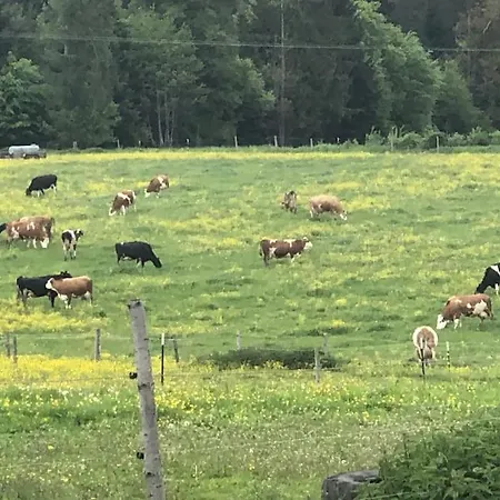 Ferien Auf Dem Eliesenhof *