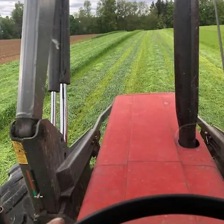 Ferien Auf Dem Eliesenhof Appartement *