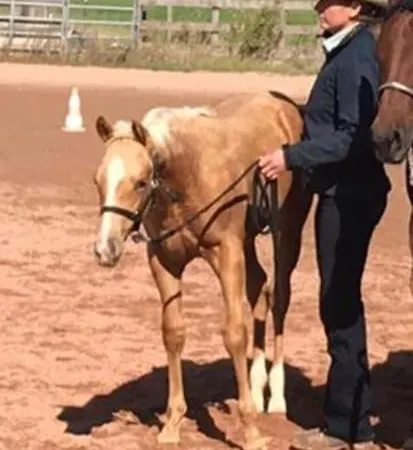Appartement Ferien Auf Dem Eliesenhof Welzheim