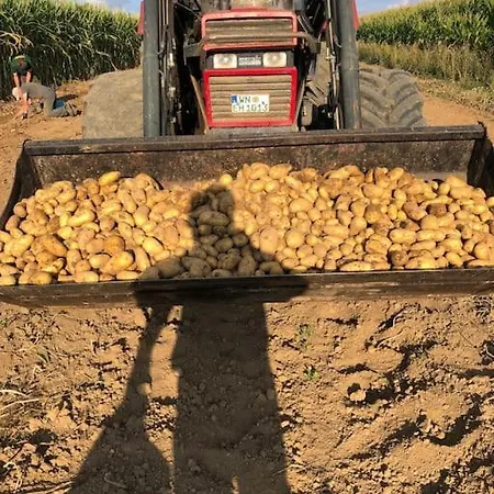 Ferien Auf Dem Eliesenhof * Welzheim