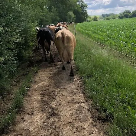 Ferien Auf Dem Eliesenhof Appartement *