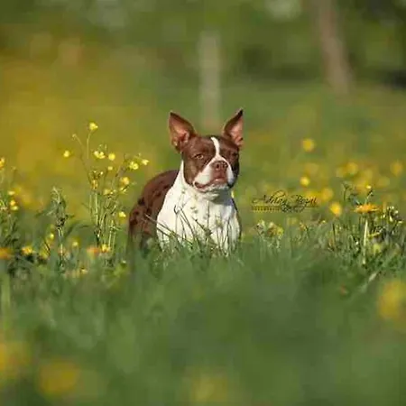 Appartement Ferien Auf Dem Eliesenhof *