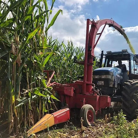 Appartement Ferien Auf Dem Eliesenhof *